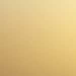 Meet the Staff: Adam Law